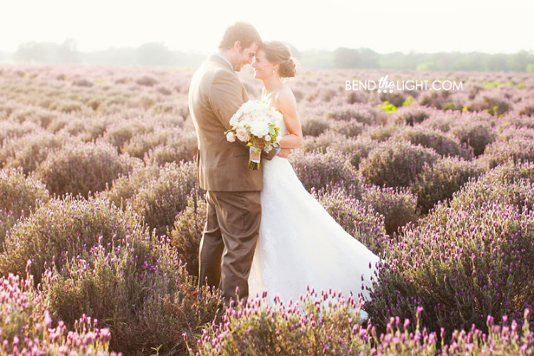 1-lavender-field-wedding-becker-vineyards-wedding-reception-photos
